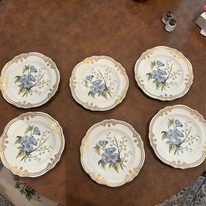 Spode Stafford Flowers set of six Luncheon Plates. DISCONTINUED RARE